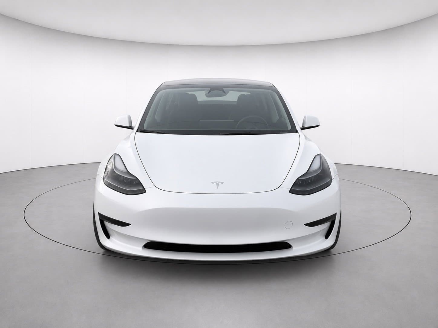 2023 Tesla Model 3 — photo 2 of 3
